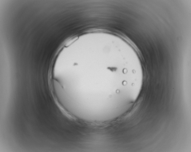 X0000113020909200910081157