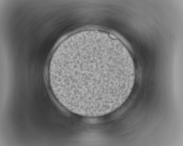 X0000113020911200910081157