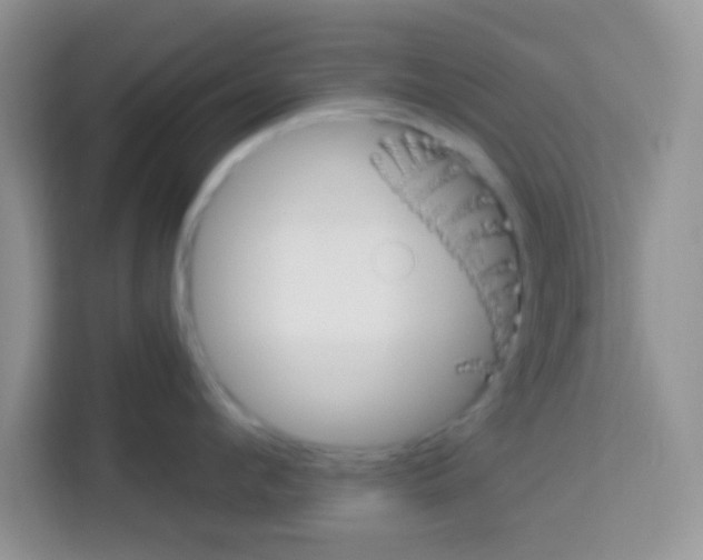 X0000113020912200910081157