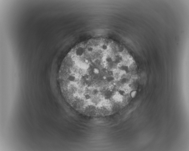 X0000113020913200910081156