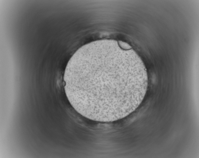 X0000113020914200910081156