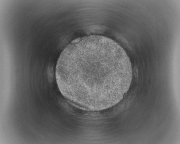 X0000113020915200910081156