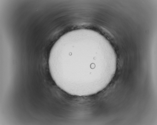 X0000113020917200910081156