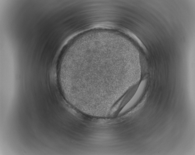 X0000113020923200910081157