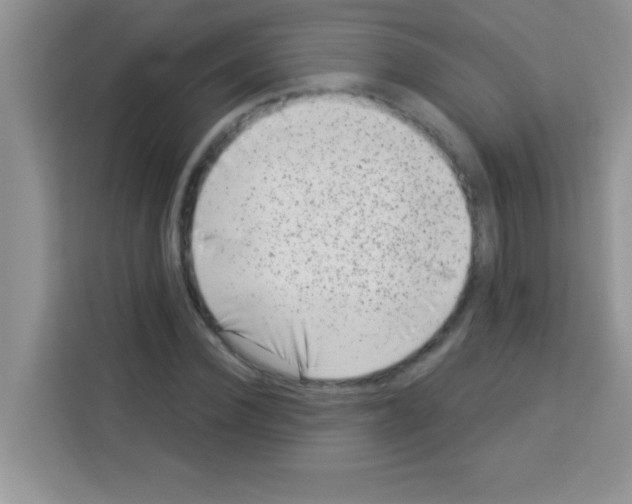 X0000113020924200910081157