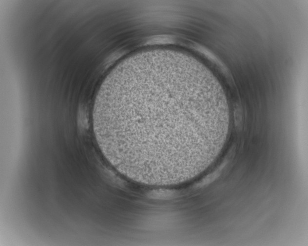 X0000113020929200910081157