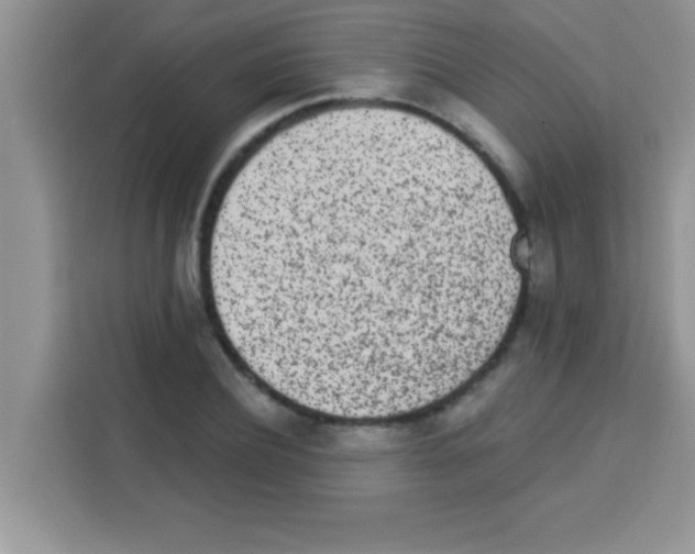 X0000113020932200910081157