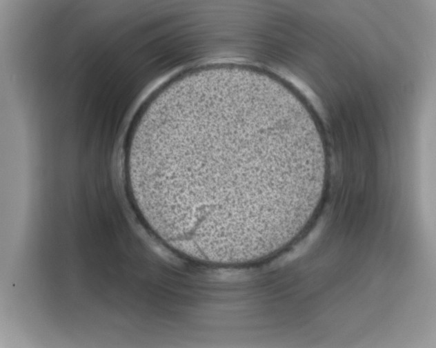 X0000113020933200910081157