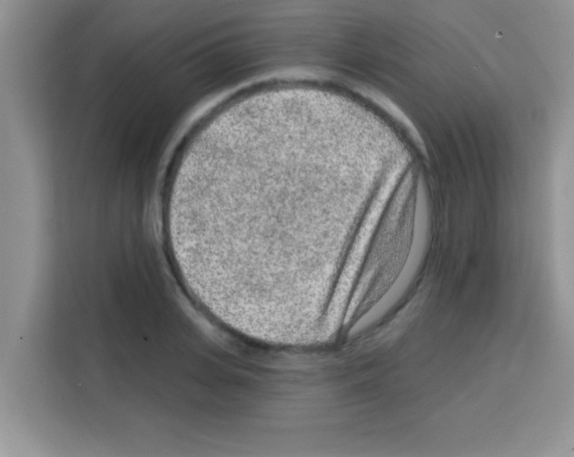 X0000113020935200910081157