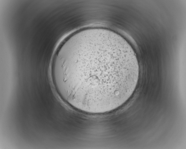 X0000113020936200910081157