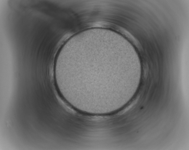 X0000113020938200910081157