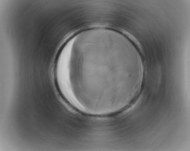 X0000113020941200910081157