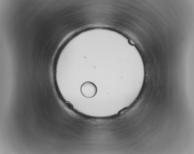 X0000113020942200910081157