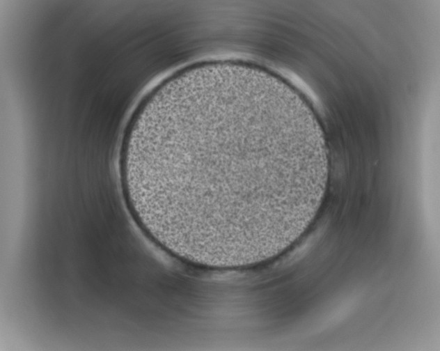 X0000113020943200910081157