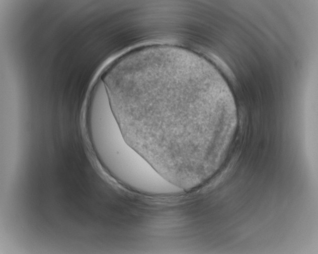 X0000113020944200910081157