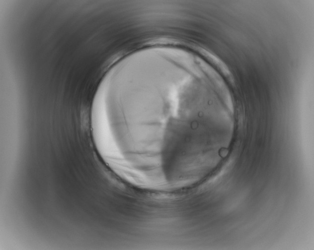 X0000113020945200910081157