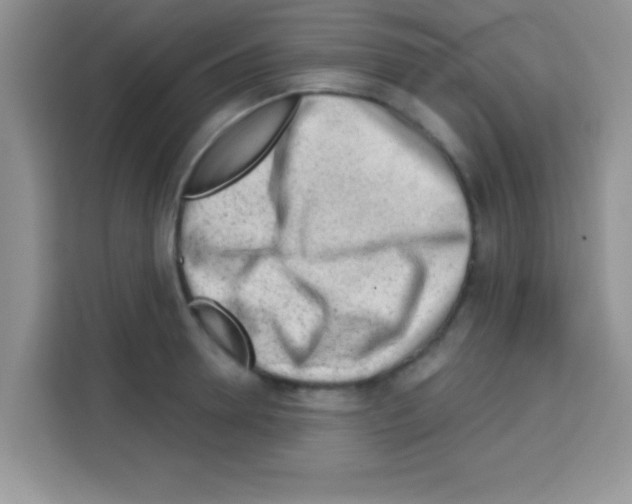 X0000113020946200910081157