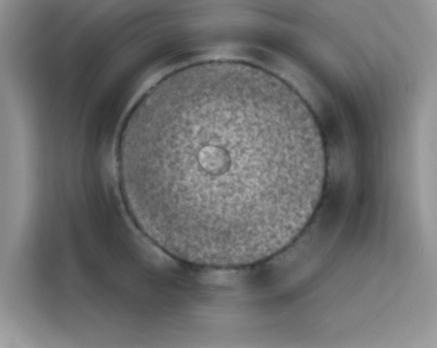 X0000113020950200910081157