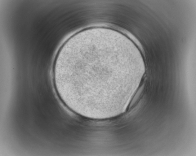 X0000113020951200910081157