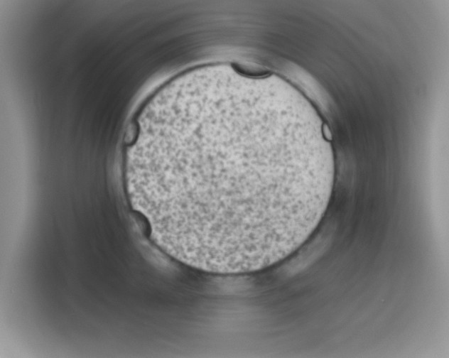 X0000113020952200910081157