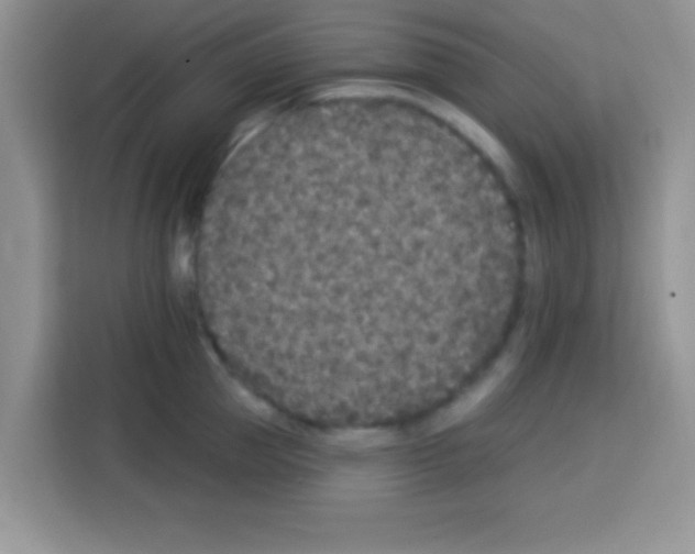 X0000113020953200910081157