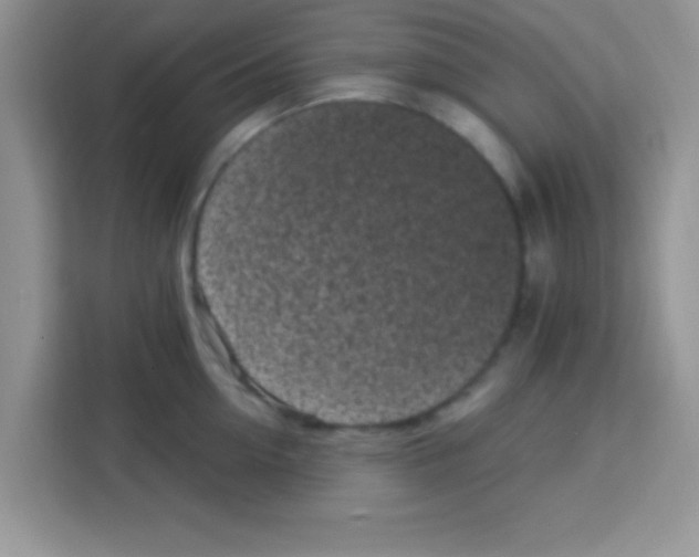 X0000113020954200910081157