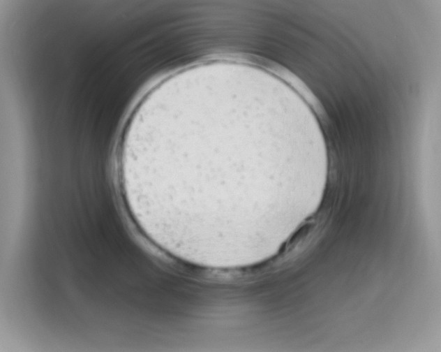 X0000113020955200910081157