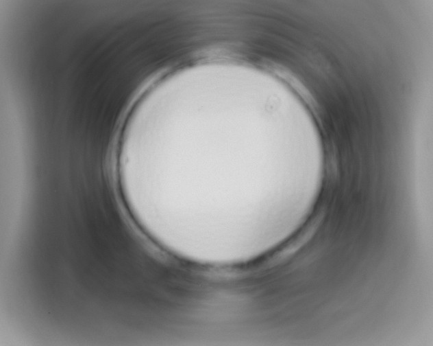 X0000113020957200910081157