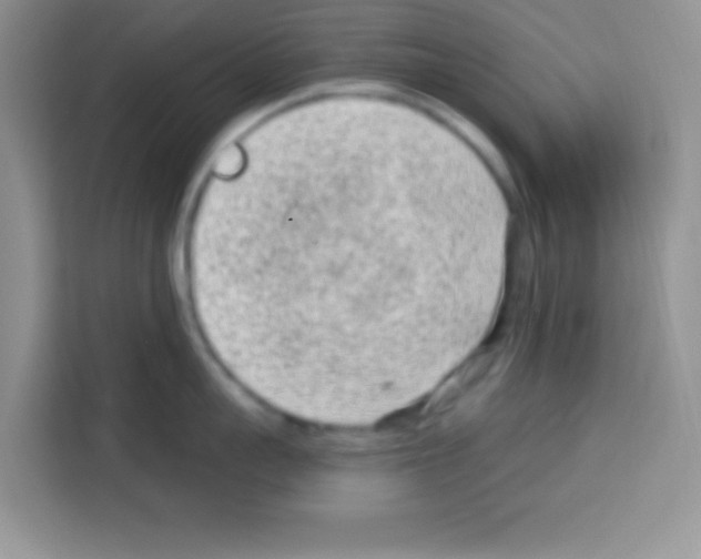 X0000113020959200910081157