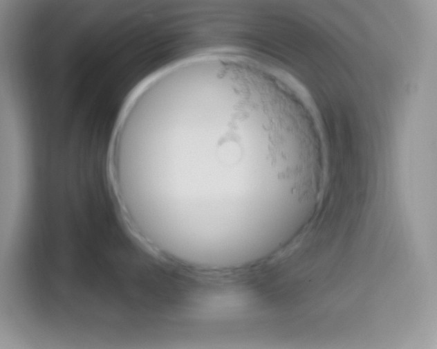 X0000113020960200910081157