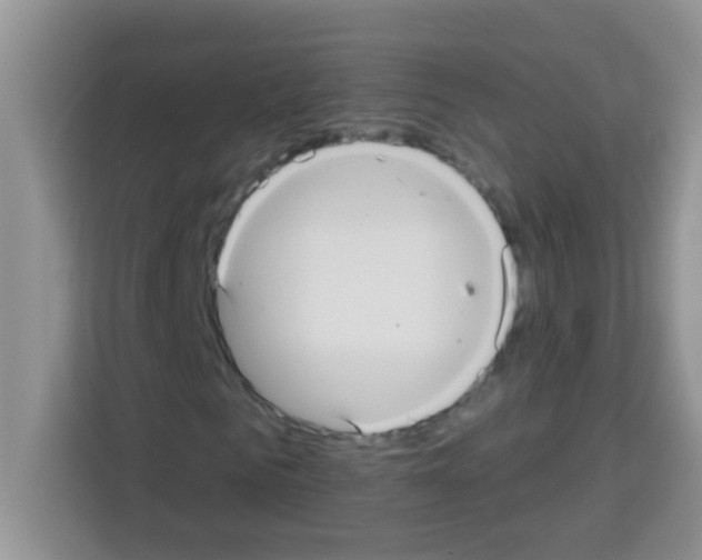 X0000113020961200910081156