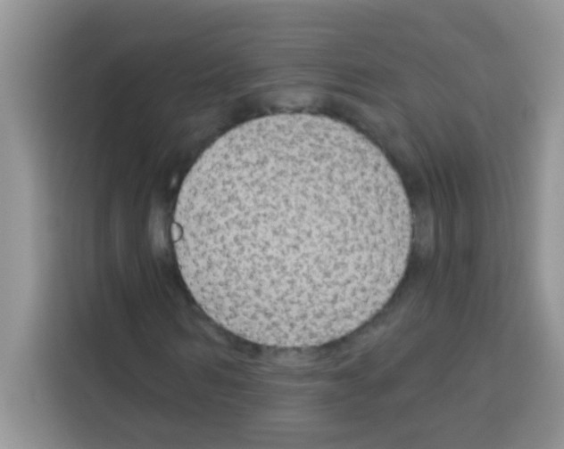 X0000113020962200910081156