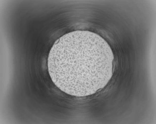 X0000113020964200910081156