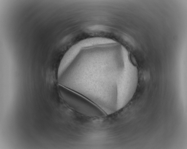 X0000113020965200910081156