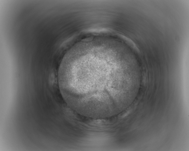 X0000113020966200910081156