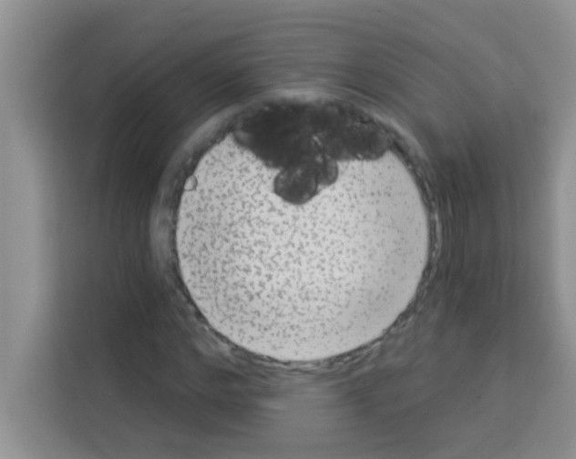 X0000113020968200910081156