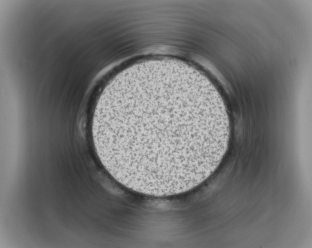 X0000113020971200910081156