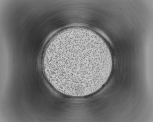 X0000113020972200910081156