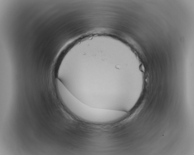 X0000113020973200910081156