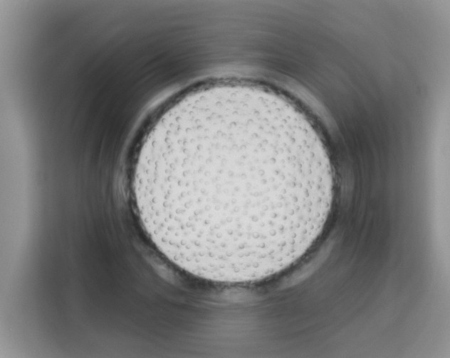 X0000113020974200910081156