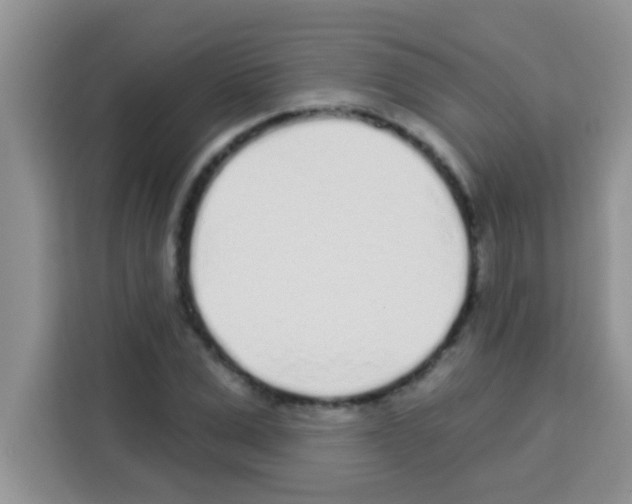 X0000113020975200910081156