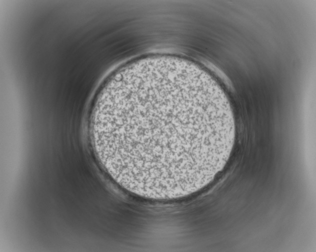 X0000113020976200910081156