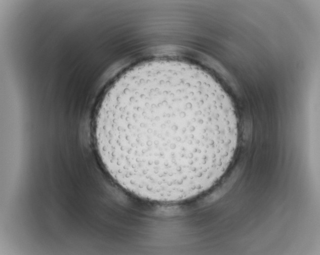 X0000113020978200910081156