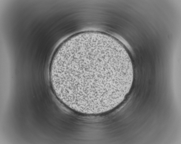 X0000113020980200910081156