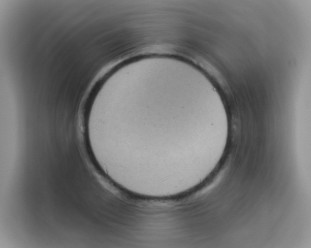 X0000113020981200910081156