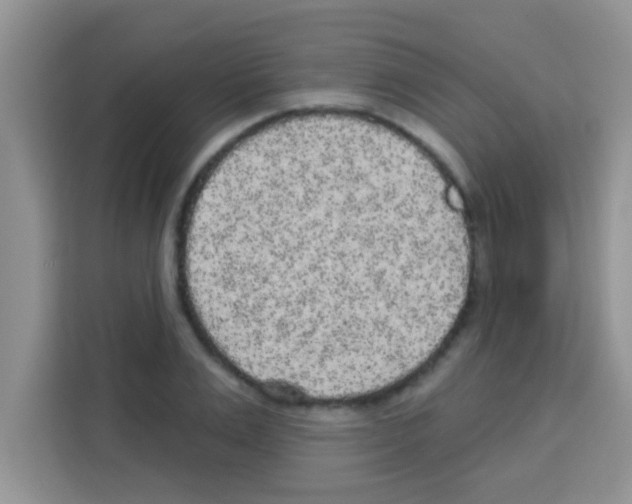 X0000113020983200910081156