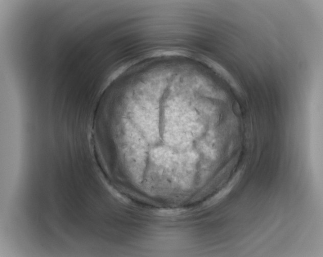 X0000113020985200910081156