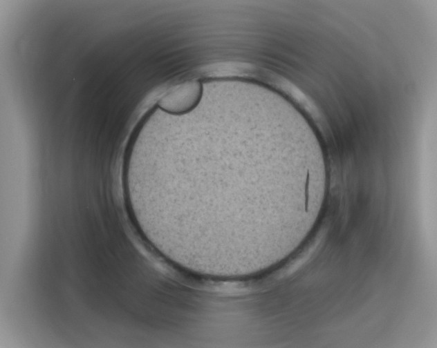 X0000113020986200910081156