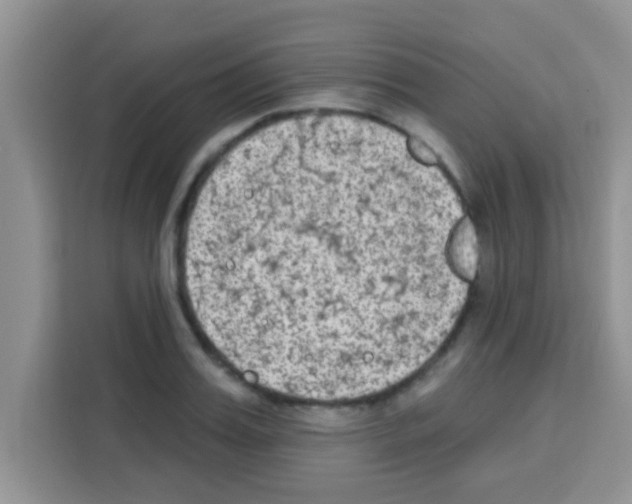 X0000113020987200910081156