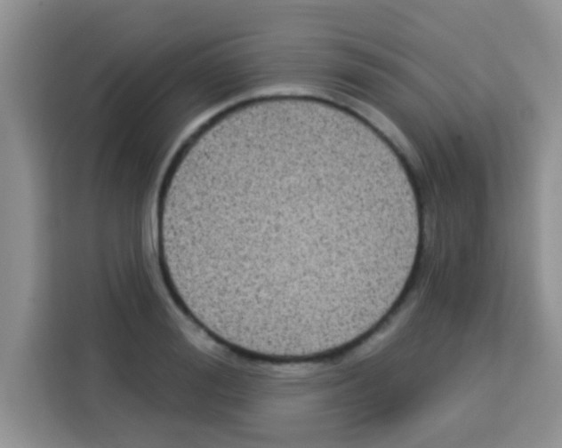 X0000113020988200910081156